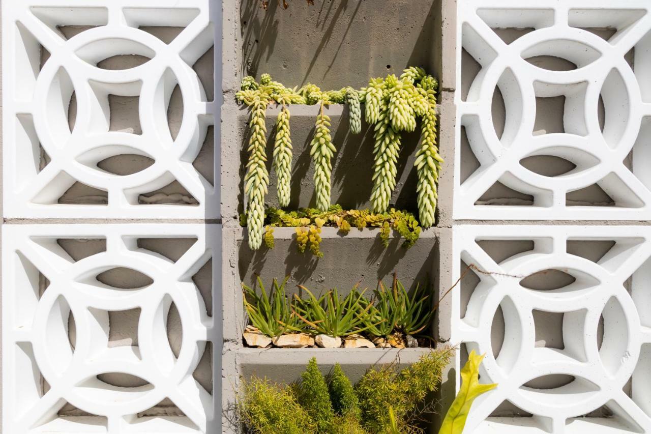 Araucária Pinna Business Hotel מראה חיצוני תמונה